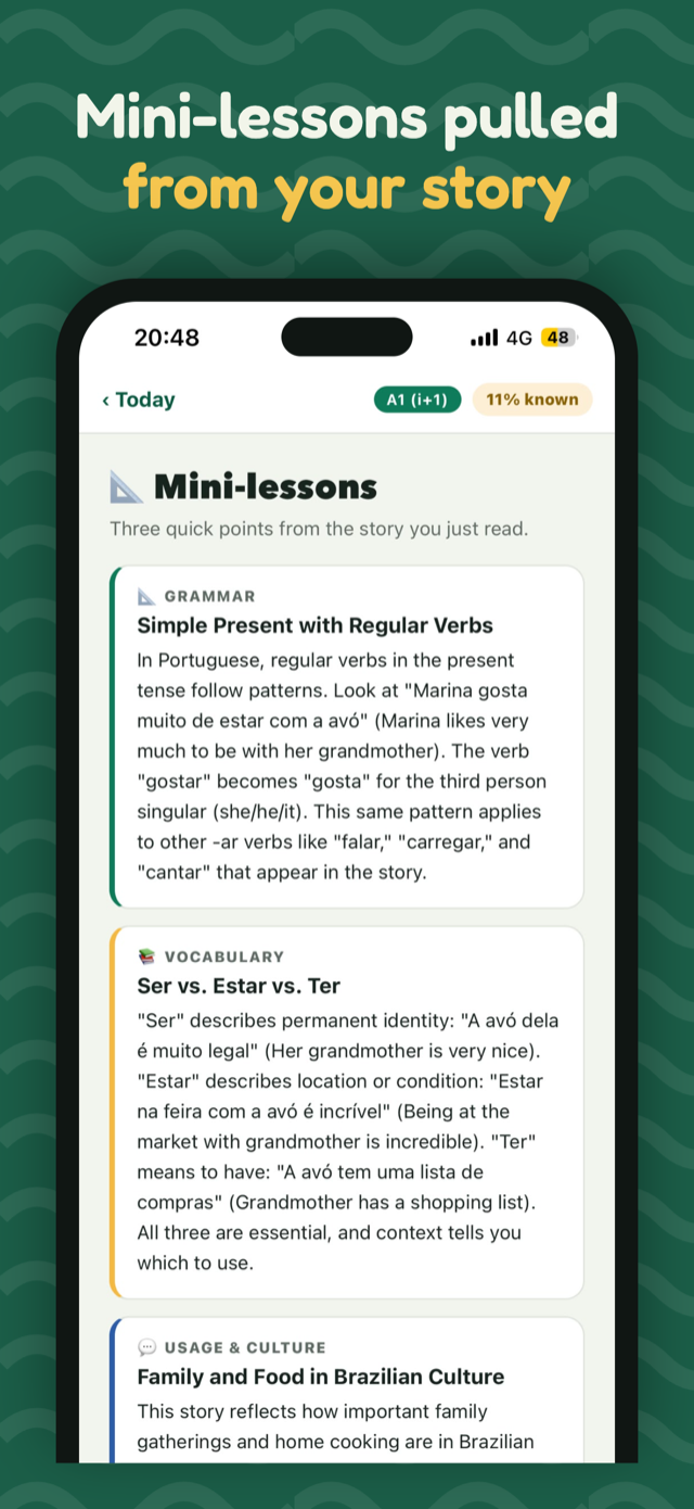 Mini-lesson explaining grammar from today's story
